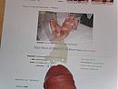 niet te houden, foto 4000x3000, 0 reacties, 1 stemmen