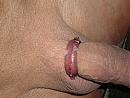 ohne, foto 3072x2304, 0 reacties, 0 stemmen