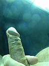 onder de zonnebank 6, foto 2976x3968, 2 reacties, 13 stemmen