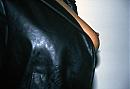 ook leuk 2, foto 567x384, 0 reacties, 2 stemmen