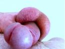 p15, foto 500x375, 0 reacties, 1 stemmen