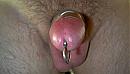 penis plug, foto 2000x1128, 0 reacties, 1 stemmen