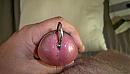 penis plug, foto 2000x1128, 0 reacties, 0 stemmen