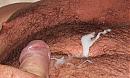pffffff, foto 1280x761, 1 reacties, 4 stemmen