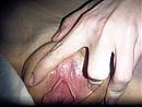 pink, foto 360x270, 6 reacties, 11 stemmen