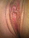 poes verveeld zich, foto 1536x2048, 8 reacties, 14 stemmen