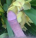 puur natuur 4, foto 1109x1175, 4 reacties, 10 stemmen