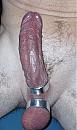 ring ring 4, foto 1386x2353, 0 reacties, 0 stemmen