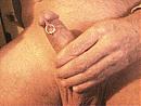 scherper, foto 320x240, 6 reacties, 27 stemmen