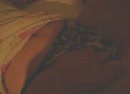 slut wife, film 00:00:00, 1 reacties, 3 stemmen