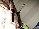 toon-67hotmail.com, foto 1600x1200, 0 reacties, 0 stemmen