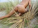 trio, foto 3648x2736, 12 reacties, 37 stemmen