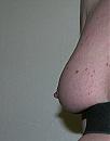 tt, foto 979x1254, 1 reacties, 5 stemmen