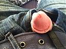 uit mn broek, foto 960x720, 1 reacties, 1 stemmen
