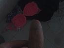 vanmiddag gemaakt, foto 2592x1944, 2 reacties, 2 stemmen