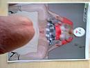 voor wendy, foto 2592x1944, 0 reacties, 3 stemmen