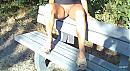wandelen, foto 800x436, 2 reacties, 12 stemmen