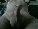 wat vinden jullie ervan, foto 2048x1536, 3 reacties, 9 stemmen