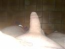 weer geil, foto 2592x1944, 0 reacties, 1 stemmen