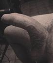 welk kutje wil hem, foto 2108x2532, 3 reacties, 5 stemmen