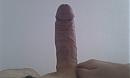 welke vrouw, foto 2592x1552, 2 reacties, 4 stemmen