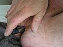wennen voor bipikkie, foto 2048x1536, 0 reacties, 2 stemmen