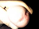 wie heeft er zin, foto 2048x1536, 0 reacties, 3 stemmen