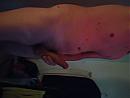 wie wil me, foto 4320x3240, 0 reacties, 1 stemmen