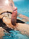 wie wil.., foto 3000x4000, 0 reacties, 3 stemmen
