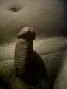 wie wil, foto 1200x1600, 1 reacties, 2 stemmen