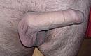wie wil, foto 615x380, 0 reacties, 2 stemmen