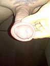 wie............................., foto 1200x1600, 0 reacties, 0 stemmen