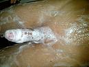 wie, foto 2592x1944, 0 reacties, 0 stemmen
