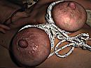 xxx, foto 2048x1536, 1 reacties, 2 stemmen