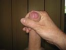 zoek bi stel, foto 2272x1704, 3 reacties, 8 stemmen