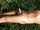 zomer, foto 2304x1728, 2 reacties, 20 stemmen