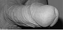 zwart wit, foto 947x460, 0 reacties, 1 stemmen