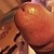 bbwlover2012