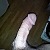 trabb