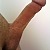 1612stel