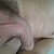 geilerrr