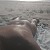 BeachP BeachP