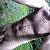 Parkingflasher