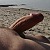 Knappe_gast
