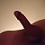 Tim_0570