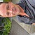 joep366