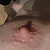 peet55