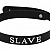 slave66