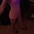 Stel4041