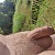Outdoormeneer